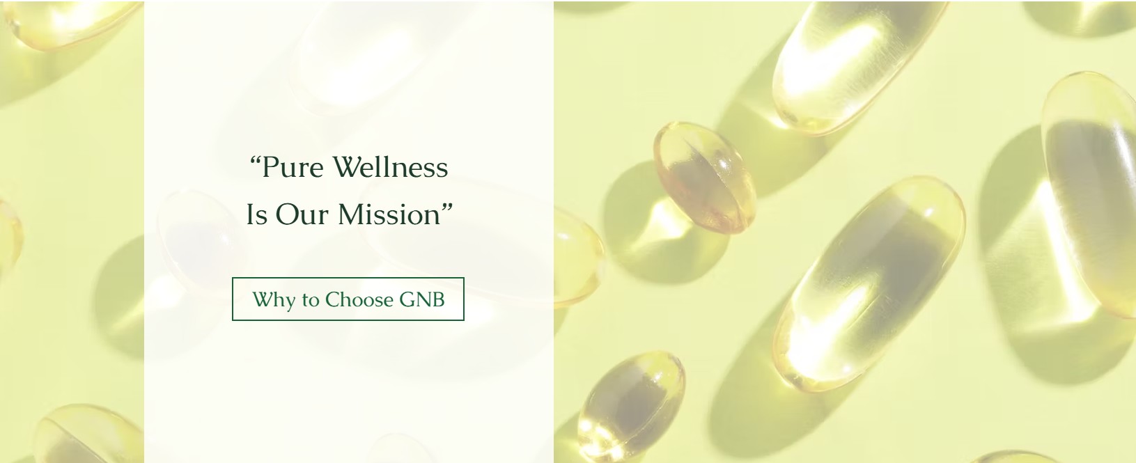 GNB Supplement