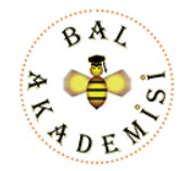 Bal Akademisi