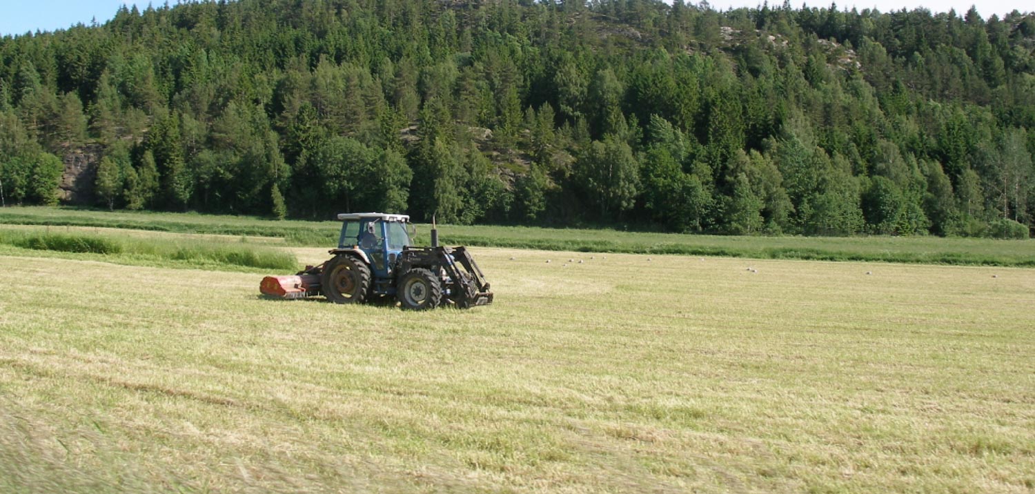 Salon de l'agriculture et de l'élevage en Mésopotamie